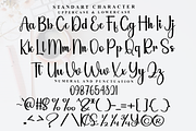 Beauty Calligraphy, a Handwritten Font by InermediaSTUDIO (Thumbnail 5 of 7)