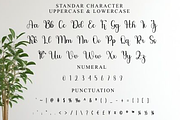 Beautica, a Handwritten Font by FreshTypeINK (Thumbnail 4 of 8)
