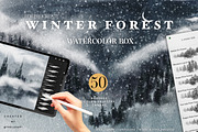 Winter Forest Box for Procreate, a Brush Add-On by Liquid Amethyst Art (Thumbnail 1 of 13)
