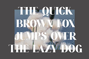 ROMANS Modern Serif Font, a Slab Serif Font by Alfinart (Thumbnail 5 of 8)