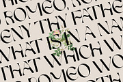 FRENCH CHATEAUX - Chic Display Font, a Sans Serif Font by SilverStag Type Foundry (Thumbnail 15 of 22)