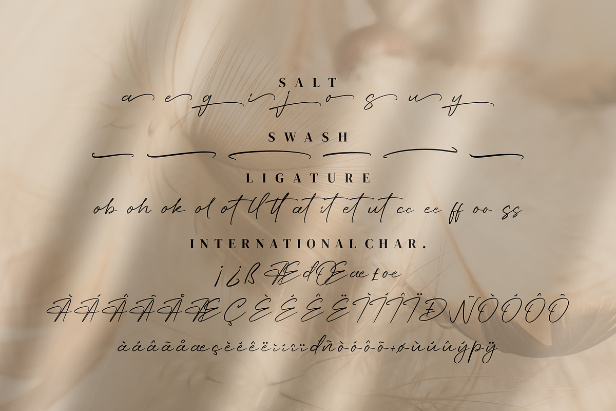 Angelin, a Handwritten Font by Integritype Studio (Photo 7 of 8)