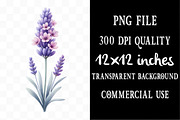 Florals and Woodland Clipart, an Illustration by Designking (Thumbnail 4 of 5)
