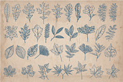 205 Floral Objects, an Object Graphic by Mr Vintage (Thumbnail 4 of 5)