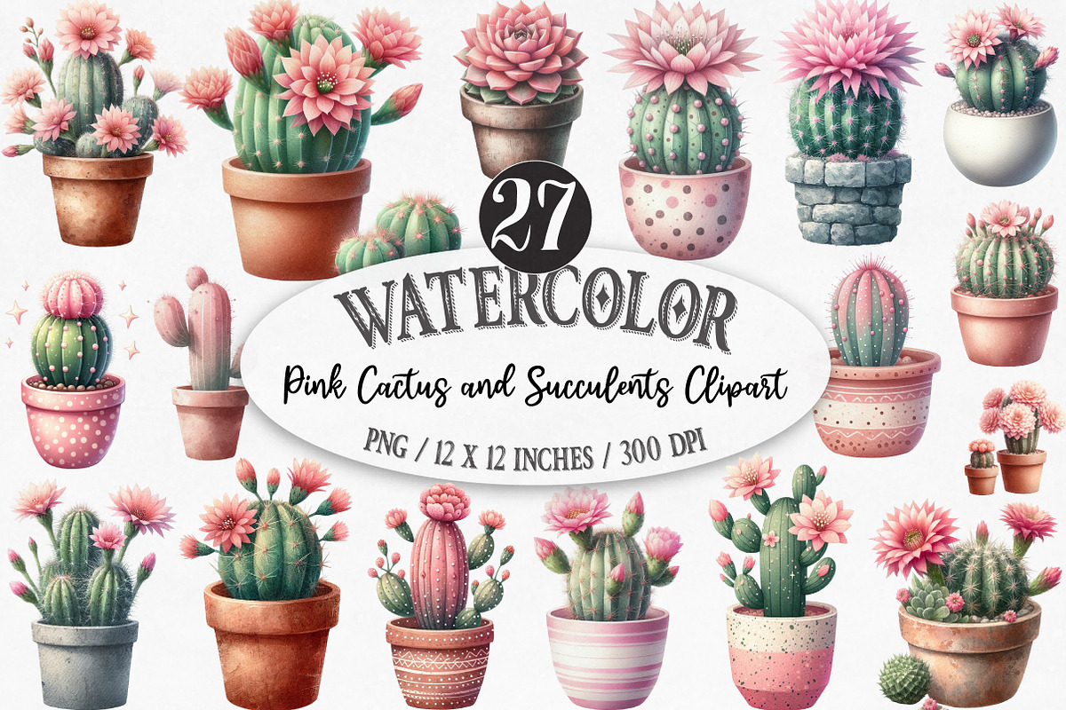 Pink Cactus and Succulents Clipart, an Illustration by Designking (Photo 1 of 5)
