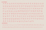 Ingenue Serif Bundle font, a Serif Font by CHIMERA (Thumbnail 16 of 17)