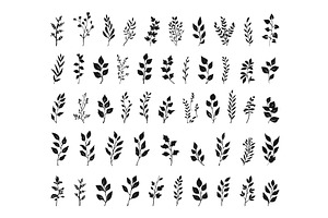 Branches and Leaves Set Hand Drawn, an Object Illustration by LadadikArt