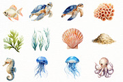 Undersea watercolor clipart, an Illustration by Designworld (Thumbnail 5 of 6)