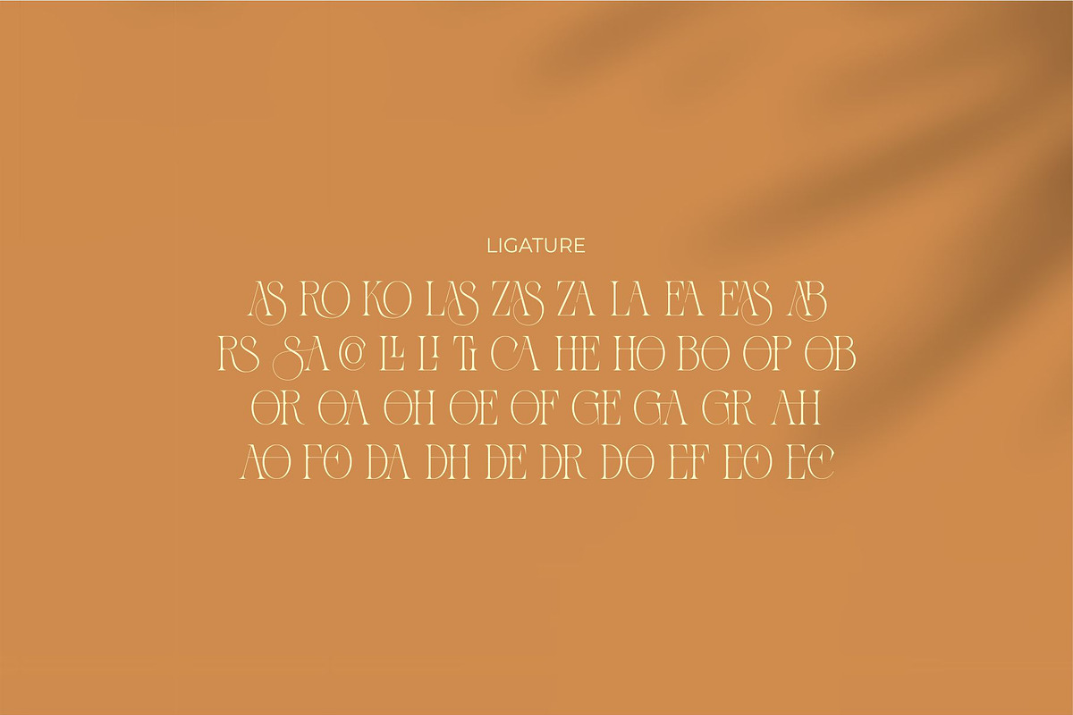 Zaslia - Elegant Ligature Serif, a Serif Font by suhadidesign (Photo 14 of 14)