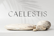 CAELESTIS elegant sans serif font, a Sans Serif Font by Jay Luxe Creative (Thumbnail 1 of 7)