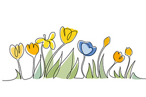 wildflowers with leaves in field
