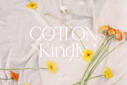 Cotton Kindly - Modern Serif Font, a Serif Font by ClevUs (Thumbnail 1 of 12)