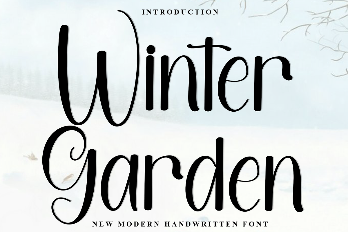Winter Garden, a Handwritten Font by InermediaSTUDIO (Photo 1 of 8)
