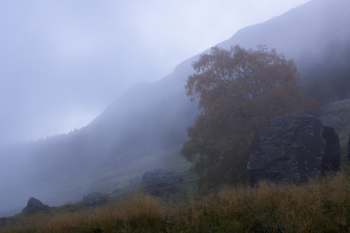 Lightroom Presets: Nordic Landscapes, an Action Add-On by PhotoMarket (Photo 14 of 20)