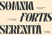 Quelia Vintage - Branding Logo Font, a Serif Font by Nirmana Visual (Thumbnail 6 of 15)
