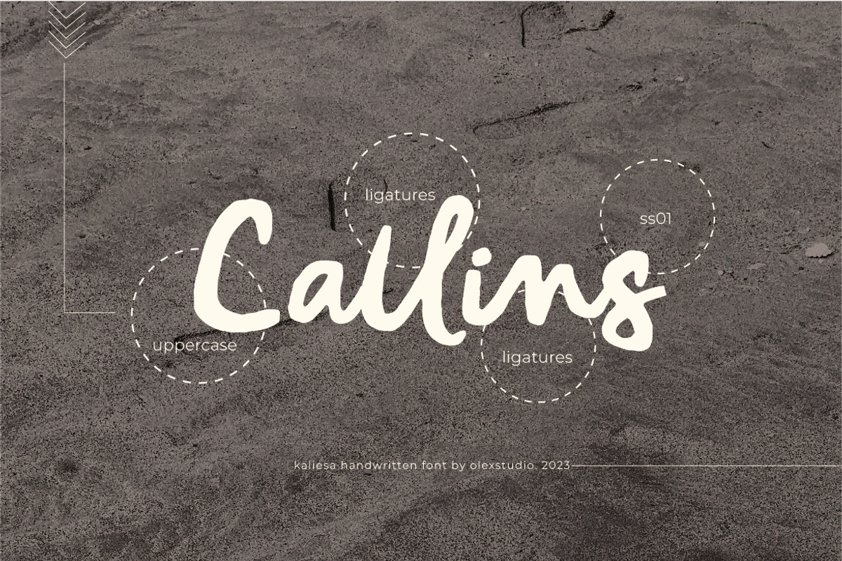 Kaliesa - Handwritten Script, a Handwritten Font by Olexstudio (Photo 7 of 7)