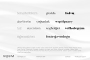 Ravensara Serif | 7 fonts, a Serif Font by NAUM (Thumbnail 3 of 7)