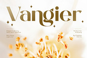 Vangier - Elegant Sans Serif Font, a Sans Serif Font by Flawless And Co (Thumbnail 1 of 10)