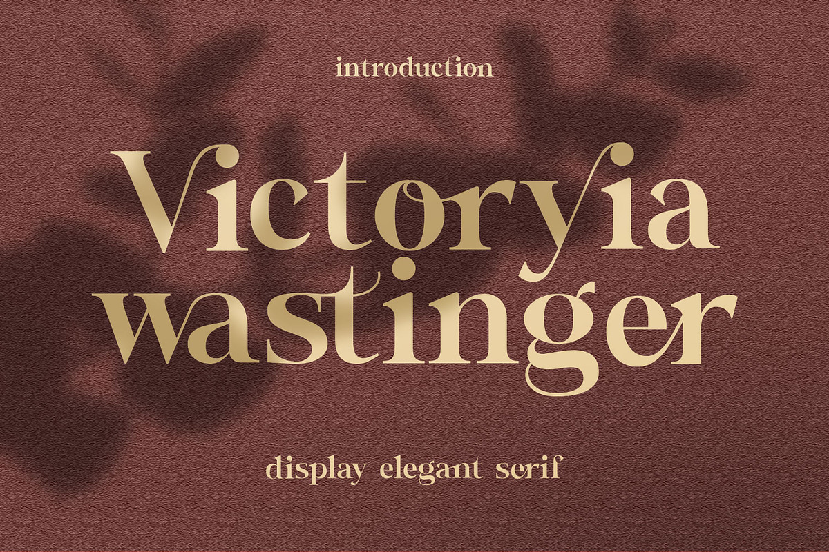 Wastinger Elegant Display, a Serif Font by Typetemp Studio (Photo 1 of 16)
