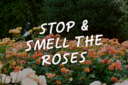 Dandelions Cute Handwritten Font, a Handwritten Font by The Creative Bix (Thumbnail 3 of 11)
