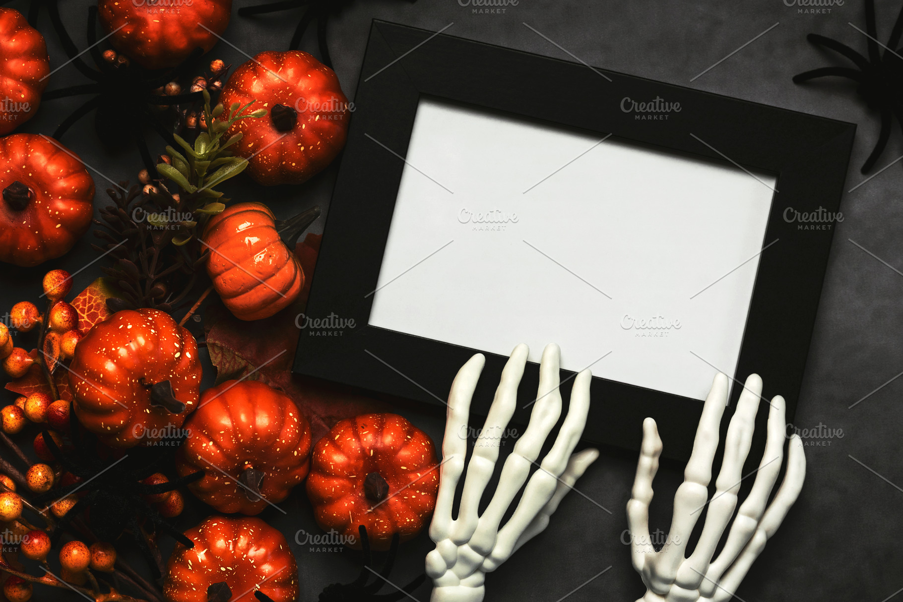 Halloween concept background, a Holiday Photo by esthermm