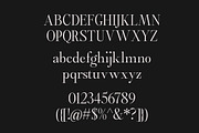 Castlon | 16 Fonts, a Serif Font by Skinny Type (Thumbnail 9 of 10)