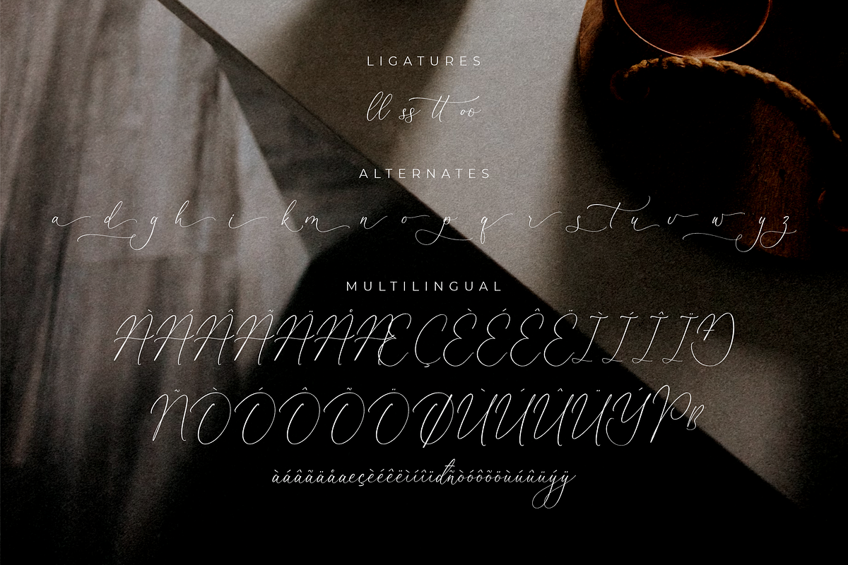 Molgiant Belliontera, a Serif Font by Storytype Studio (Photo 14 of 15)
