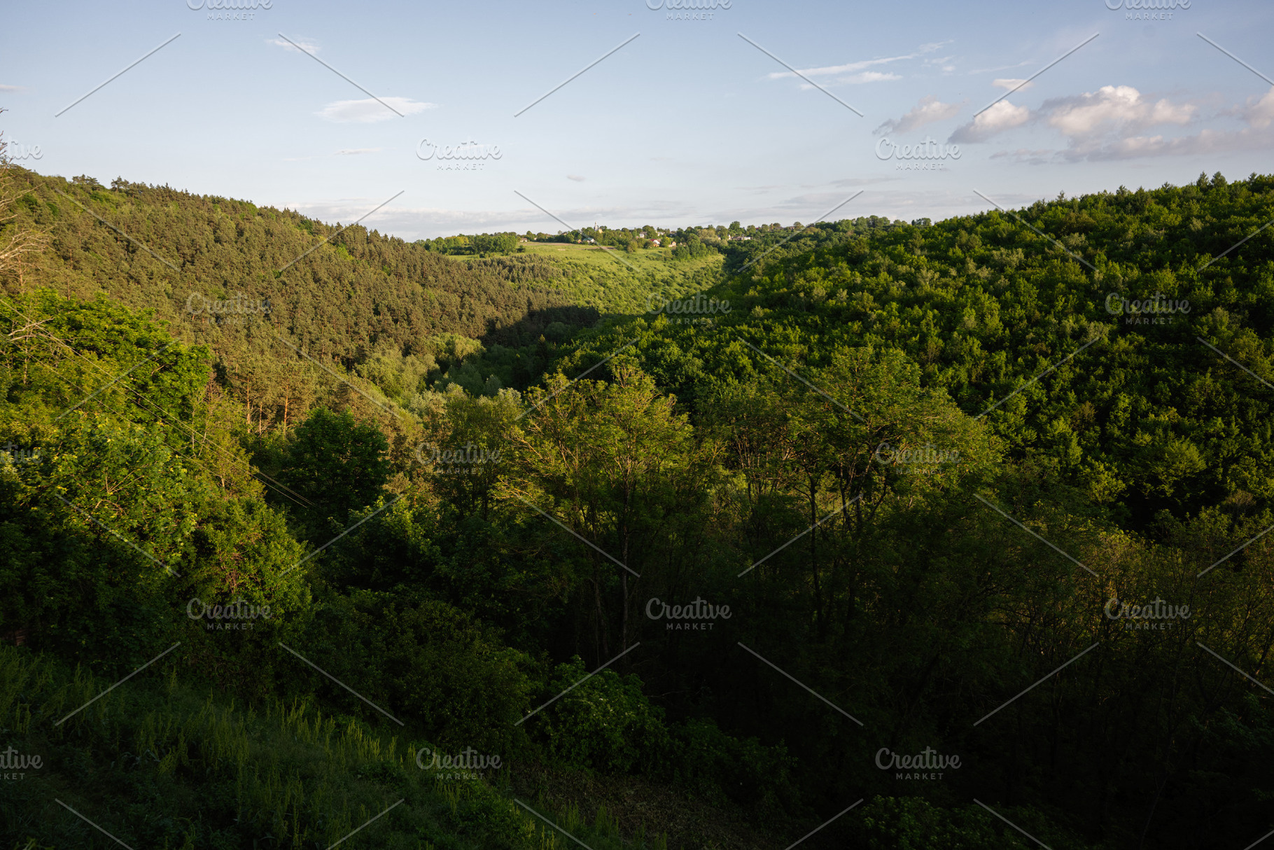 Scenic valley view with lush green forests under a bright sky, a Photo by AS photostudio
