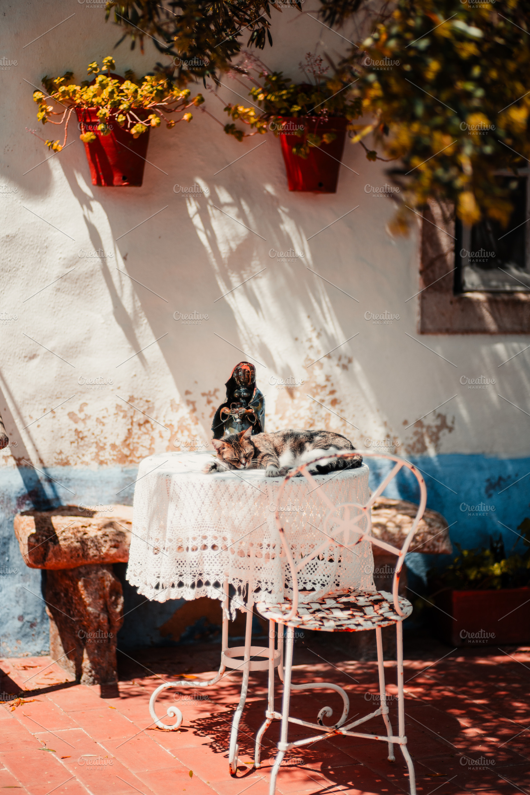 Cat napping on lace patio table, a Wallpaper Photo by SkyNext