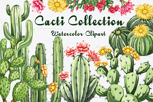 Cactus Watercolor Clipart. Succulent