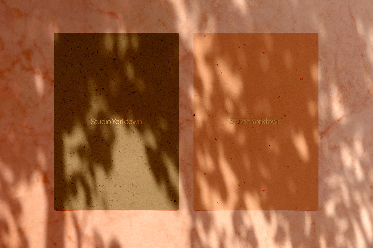 Madara - Botanical Shadow Overlays, a Texture Graphic by Studio Yorktown (Photo 6 of 17)