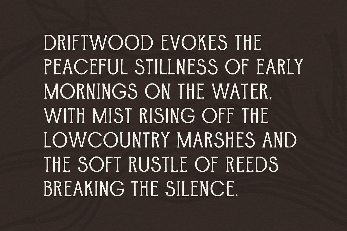 Driftwood, a Serif Font by Fairwren Creative (Photo 3 of 6)