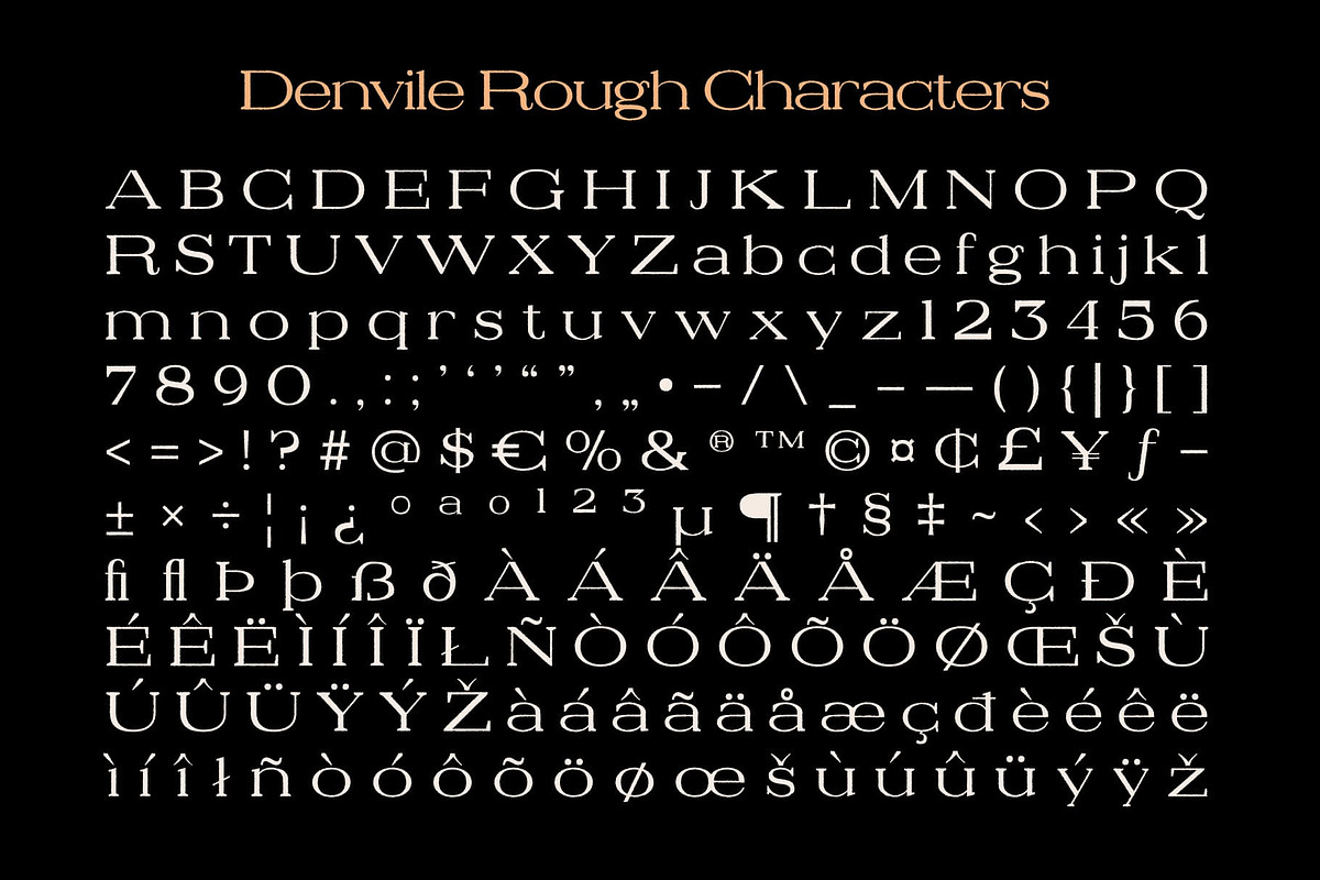 Denvile Rough, a Serif Font by Craft Supply Co. (Photo 8 of 8)