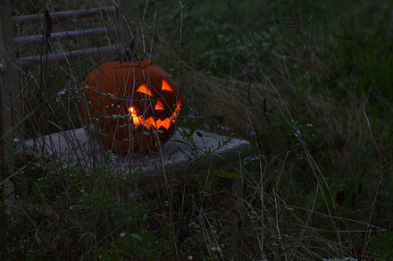 Halloween Jackolantern Blue Hour