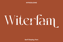 Witerlam - Serif Display Font