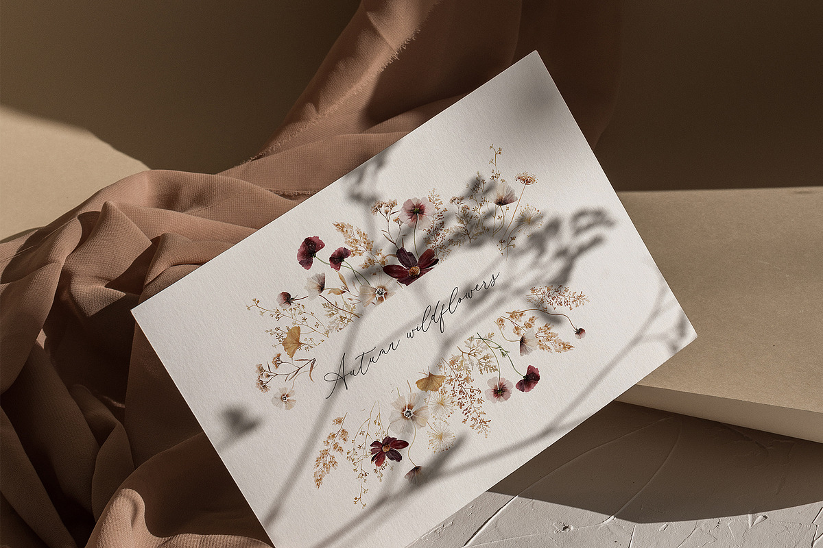 POPPY & BARLEY Autumn Wildflowers, a Seasonal Illustration by Muse Artist (Photo 13 of 14)