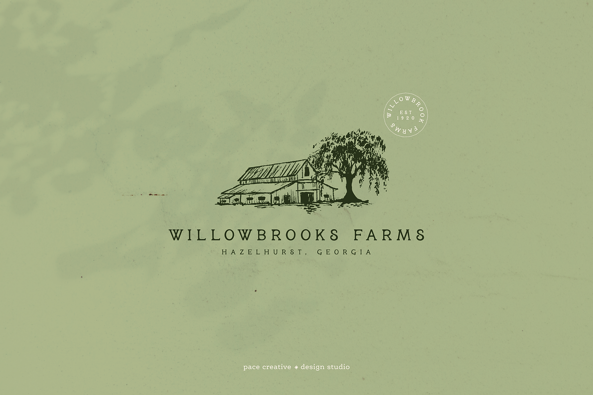Millie June: A Hand-Drawn Font, a Handwritten Font by Pace Creative Design (Photo 5 of 11)