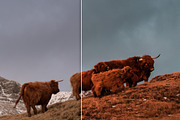Orange & Teal Lightroom Presets, an Action Add-On by PhotoMarket (Thumbnail 26 of 42)