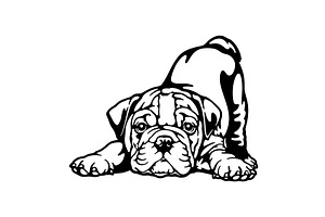 puppy English Bulldog Dog Breed -, an Animal Illustration by Digital-Clipart