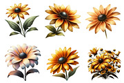 Black Eyed Susan Clipart Bundle., a Graphic by CitraGraphics (Thumbnail 2 of 4)
