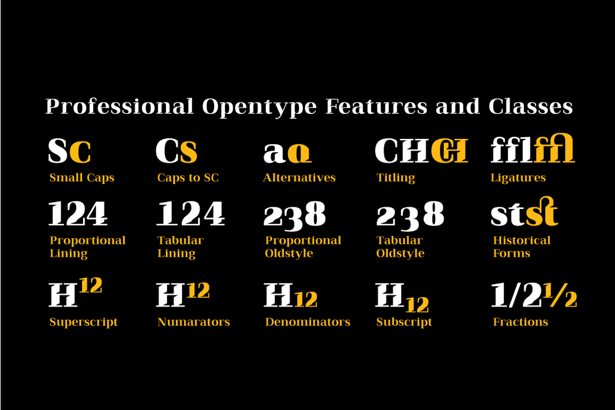 Qualitype Old, a Serif Font by BULENT YUKSEL (Photo 7 of 14)