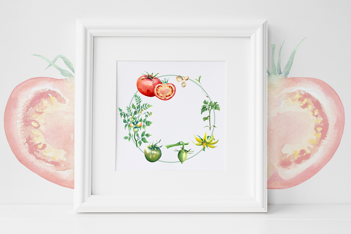 Watercolor Tomato Life Cycle Set, an Education Illustration by Tati Bordiu (Photo 2 of 5)