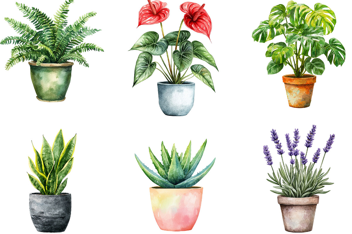 Watercolor Home Plants Clipart, an Illustration by Designking (Photo 5 of 5)