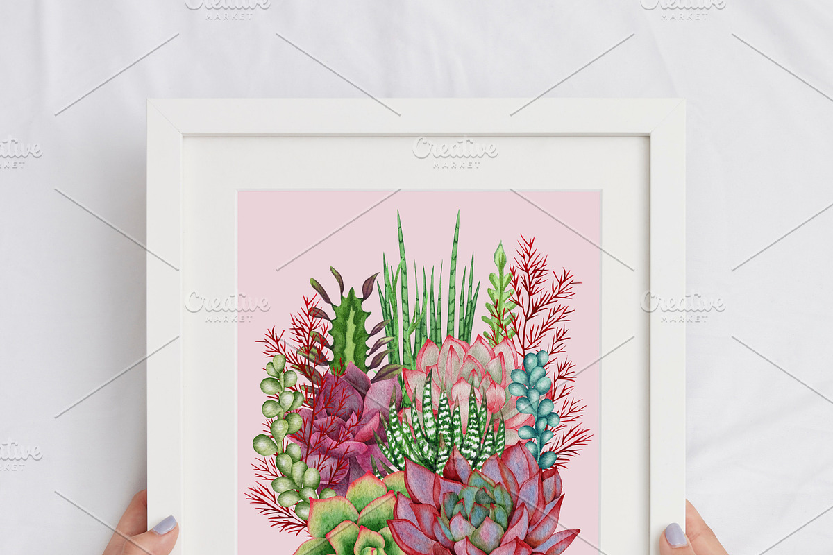 Succulents Watercolor clipart, an Illustration by BarvArt (Photo 4 of 13)