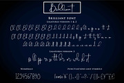 Brilliant - 3 Signature Font, a Script Font by din-studio.com (Thumbnail 4 of 9)