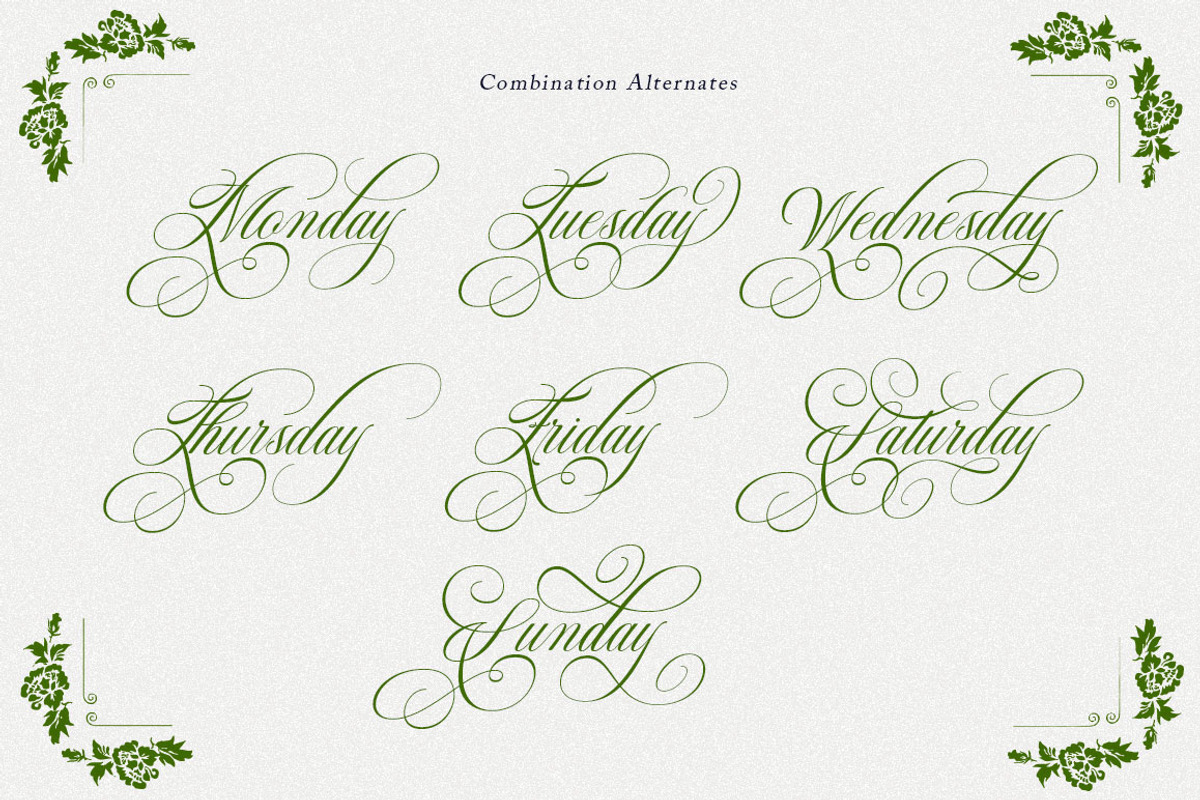 Chardonnay Script, a Script Font by Has_rizal (Photo 7 of 11)
