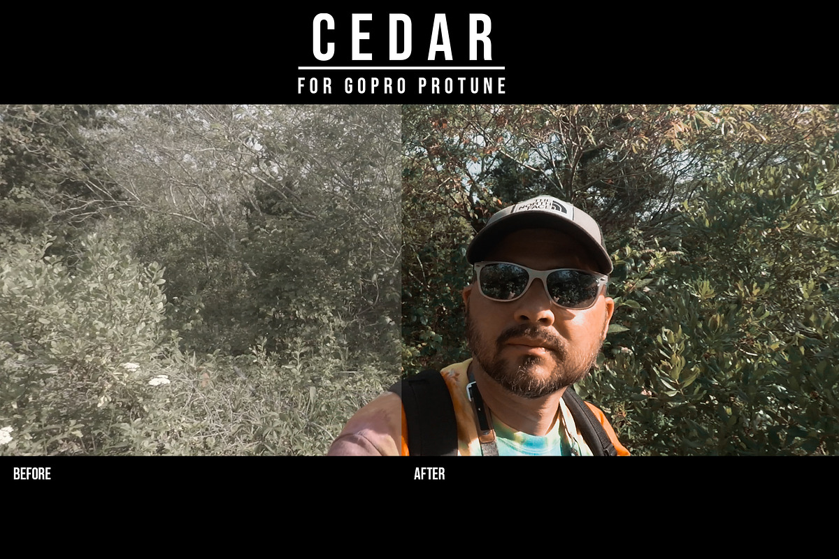 GoPro PROTUNE | CEDAR LUT PACK, a Layer Style Add-On by Josh Zaring Studios (Photo 11 of 12)