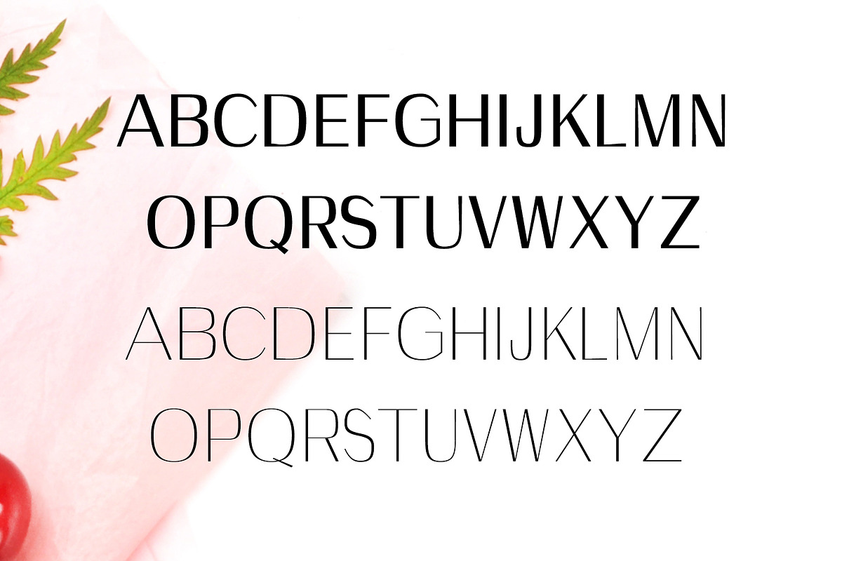 Wrenn Sans Serif 6 Font Family preview 3