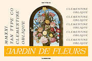 TAN - CLEMENTINE, a Serif Font by TanType (Thumbnail 7 of 20)