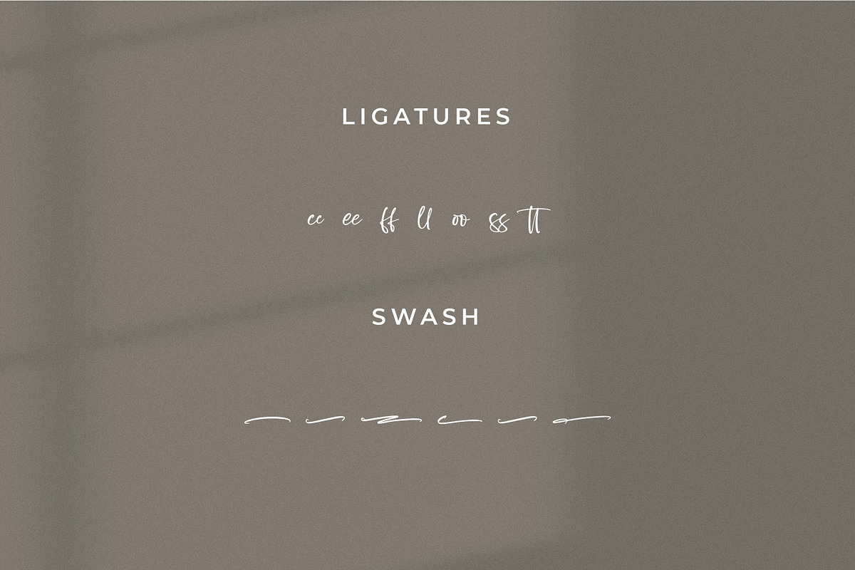 Quinttesa, a Script Font by Integritype Studio (Photo 11 of 15)